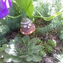 ���� �������, �������, 58 ��� - ��������� 15 �������� 2012 � ������ ��� �� ��� ������ �����������