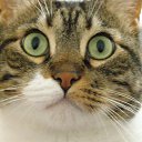 �����!!! �� ������� ���� ����������