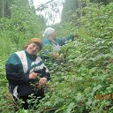 ������� ������� �� ������� ���� ����������