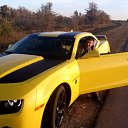 ���� �����, �������, 40 ��� - ��������� 16 ������� 2012 � ������ ���� ����������
