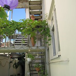 Luda, ���������, 49 ���