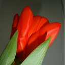 ���� Val, ������, 51 ��� - ��������� 1 ������ 2011 � ������ �������