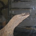 ���� ���, ��������, 30 ��� - ��������� 11 ���� 2013 � ������ ���� ����������