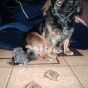 ���� ����, ����, 22 ���� - ��������� 5 ���� 2013 � ������ ����� ��� ������������