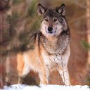 ���� ����, ������, 49 ��� - ��������� 30 ���� 2012 � ������ ���� ����������