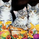 ���� ����� - ���������� ��������!!!, �����������, 56 ��� - ��������� 14 ������� 2009 � ������ ���������� �������Ż