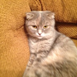 ���� ����, ������, 55 ��� - ��������� 12 ��� 2013