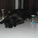  Lina, , 41  -  22  2012   Moi maljchiki