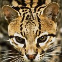 ���� ������, �������, 29 ��� - ��������� 24 ������� 2010 � ������ ���� ����