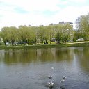 ���� �������, �����-���������, 51 ��� - ��������� 23 ������� 2011