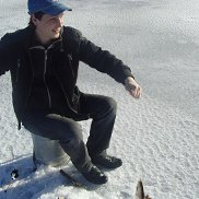 , 41 ,  