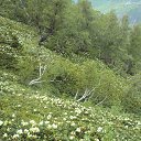 �������� � ������ ����� �� ������� ���� ����������