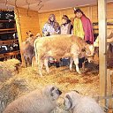 ���� �, ������ - ��������� 18 ������ 2010 � ������ ��������������� ������