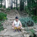 ���� �������, ������, 43 ���� - ��������� 25 ���� 2011