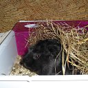 ���� ����, �������� - ��������� 15 ��� 2010 � ������ ��������