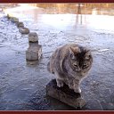  , --, 57  -  18  2013    