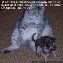 ���� �������, ������, 71 ��� - ��������� 2 ������ 2011 � ������ ���� �������� �����������