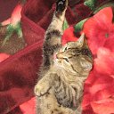   , , 45  -  29  2011   2