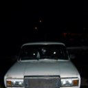  , , 37  -  3  2009      !=)