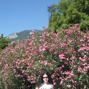  , , 33  -  15  2009   . .  