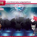  , , 36  -  16  2011   PetLove