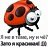 ���� �������, ������ - ��������� 10 ������� 2011