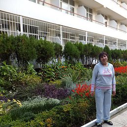 ����, �����, 71 ���