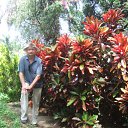 ���� ������, ������, 65 ��� - ��������� 8 ���� 2012 � ������ ���� ����������