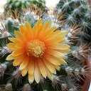  @, , 50  -  25  2010    