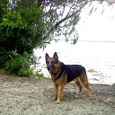 ���� ���������, ��������������, 67 ��� - ��������� 9 ���� 2010 � ������ �� � ��� ����