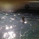  , --, 50  -  5  2009    