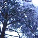 ���� ���������, ���������� - ��������� 10 ������ 2010 � ������ �*** ������� ***�