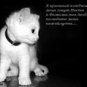 ���� ������ ��� �����.., ��������, 34 ���� - ��������� 12 ���� 2011 � ������ �������