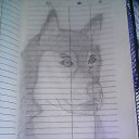 ���� ������, ����, 38 ��� - ��������� 22 ���� 2013 � ������ ���� ������� )))))�