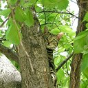 ���� ������� /�� ����������/, ������, 49 ��� - ��������� 3 ������� 2011 � ������ ���� ����������