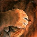 ���� ��������, ����-�����, 46 ��� - ��������� 14 ������ 2010