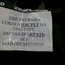 ���� �����, �����-���������, 40 ��� - ��������� 20 ����� 2013 � ������ ���� ����������