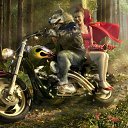 ���� �����, ������, 44 ���� - ��������� 1 ������ 2010