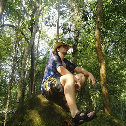 ����, ����������, 40 ���