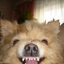 ����� �� �����...��� ����� ���� �� ������� ���� ��������