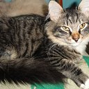 ���� ���������, ������, 26 ��� - ��������� 14 ������ 2011 � ������ �RoadKing�