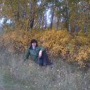  , , 57  -  29  2012    2013))))))))))))))))