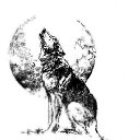 ���� Lupus, �������� - ��������� 15 �������� 2011 � ������ �������
