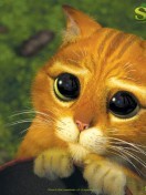 ���� ����, �����, 61 ��� - ��������� 6 ���� 2012