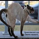���� ���������, ����������, 48 ��� - ��������� 3 ������� 2010 � ������ ���������