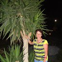  , -, 71  -  31  2013    2013