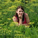 ���� �����, ��������, 34 ���� - ��������� 19 ����� 2012 � ������ ���� ����������