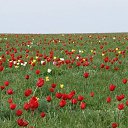 ���� Valerij, ������� - ��������� 19 ������ 2013 � ������ ������ ��������