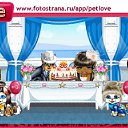���� ����, �����������, 58 ��� - ��������� 4 ���� 2011 � ������ �PetLove�