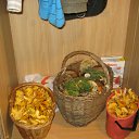 ���� ���, �����-���������, 62 ���� - ��������� 25 �������� 2011 � ������ �������